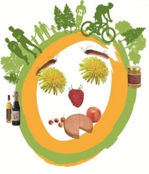 TRAIL DES TERROIRS VOSGIENS